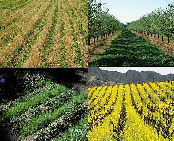 Problemática de la producción y el consumo en Colombia