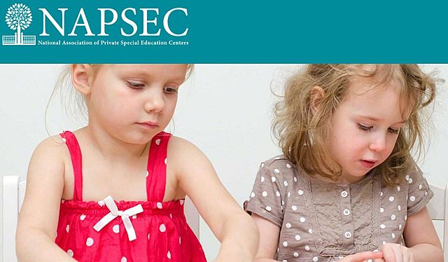 The NAPSEC Foundation