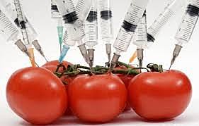 protocolo de cartagena - 2000