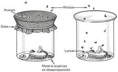Generación Espontánea