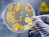 Inicia la era de la bacteriología