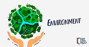 Origen de la palabra Ambiente