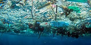 Mar de basura plástica en el Pacífico