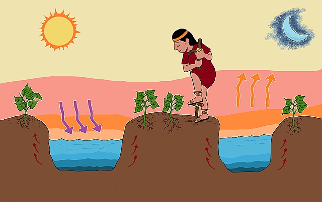 Pacha mama, madre tierra