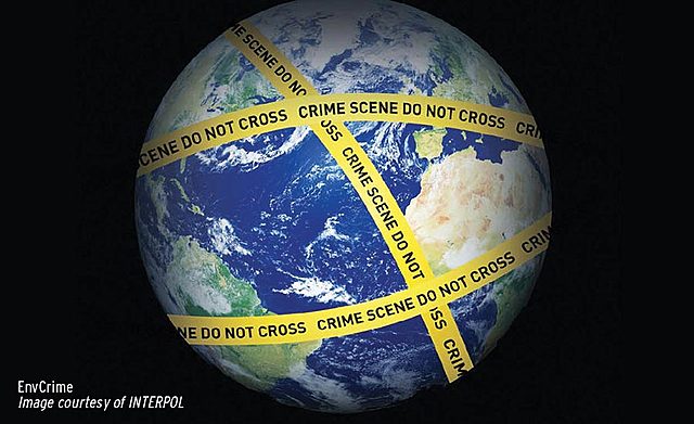 años 60´s Inicia la preocupación por el medio ambiente