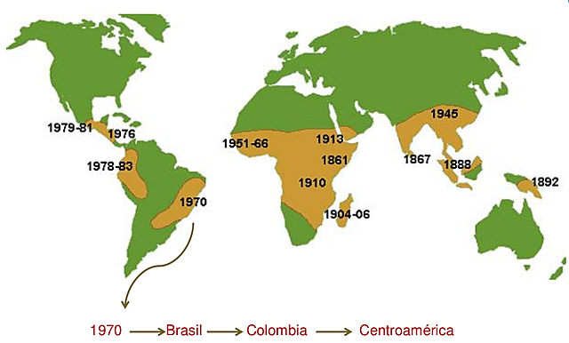 Propagación Mundial de la Roya de Café