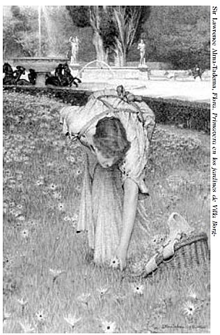 Probabilismo ambiental