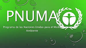 Creación de las Naciones Unidas