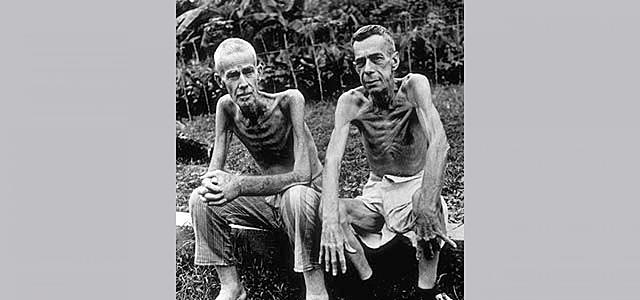 Primeras implicaciones epidemiológicas importantes de las enfermedades por deficiencia alimenticia.