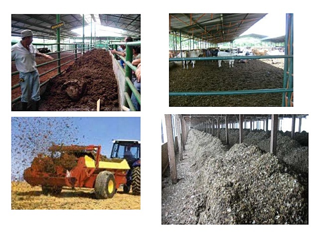 RESIDUOS AGRÍCOLAS Y GANADEROS