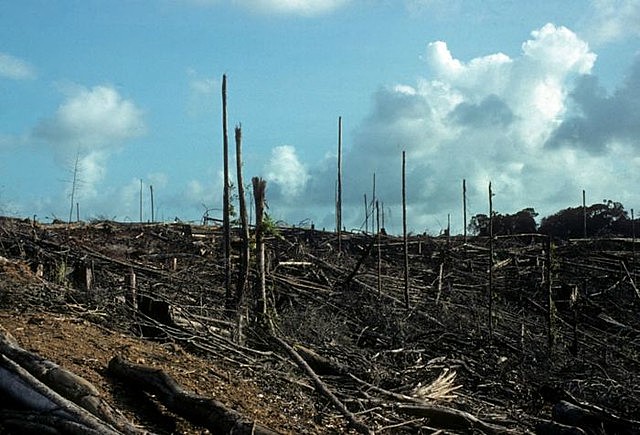 intervención y alteración