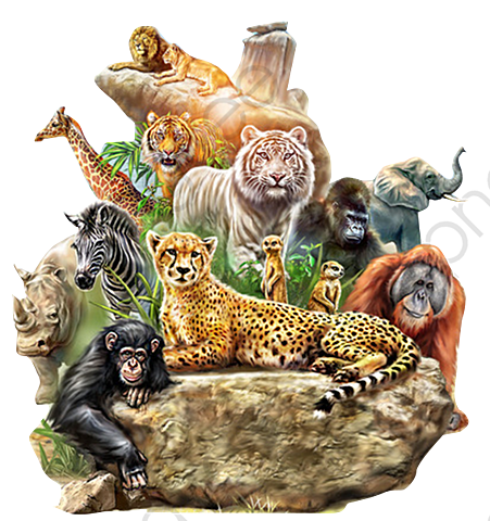 convención para la preservación de la vida salvaje en áfrica