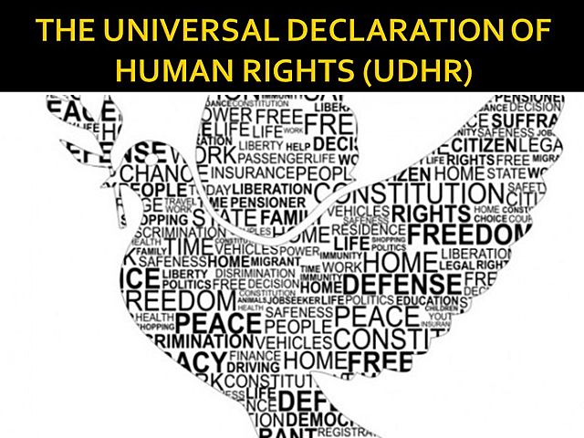 DECLARACION UNIVERSAL DE DERECHOS HUMANOS