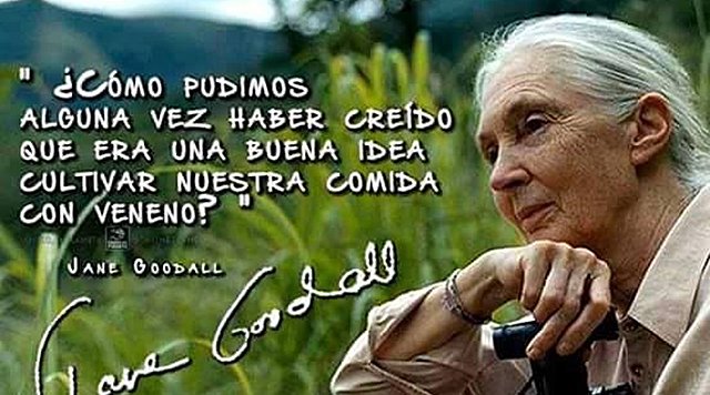 Primavera silenciosa