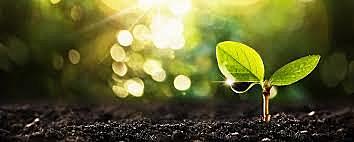 Decreto 50. Reglamento del Sector Ambiental