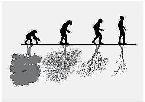 Man's Role in Changing the Face of the Earth