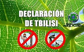 DECLARACION DE TBILISI
