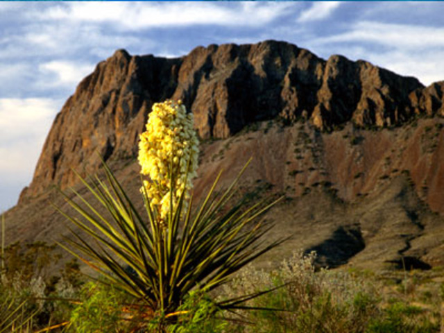 George Catlin Advocates the Idea of a National Park