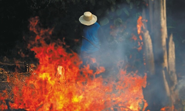 la Desforestacion en el amazonas