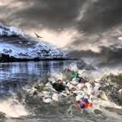 Timeline: Algunas Problemàticas Ambientales del Siglo XXI