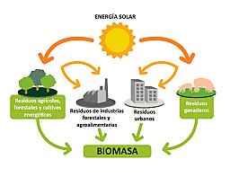 BIOMASA
