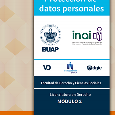 Timeline: Derecho a la Protección de Datos Personales en México