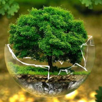 Timeline: Actividad 1 Corte - Problematica Ambiental Global