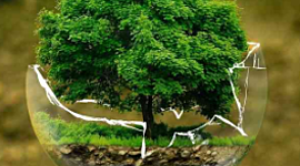 Timeline: Actividad 1 Corte - Problematica Ambiental Global