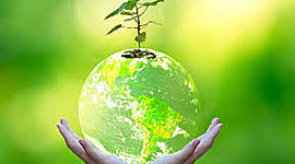 Timeline: Nacimiento de la conciencia ambiental