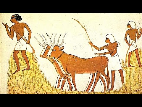 nacimiento de la agricultura