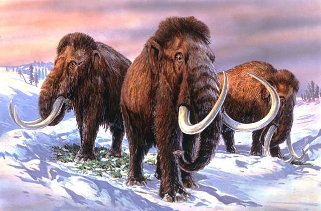 Ende der letzten Eiszeit