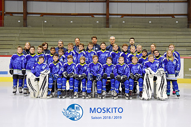 Begonen Eishockey zu spielen