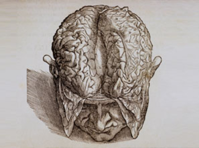 Andreas Vesalius