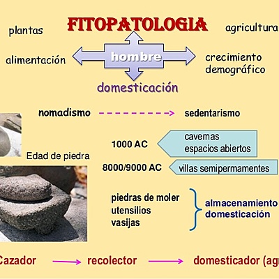 Timeline: Historia De La Fitopatologia_ Duban Sanchez