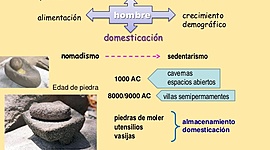 Timeline: Historia De La Fitopatologia_ Duban Sanchez