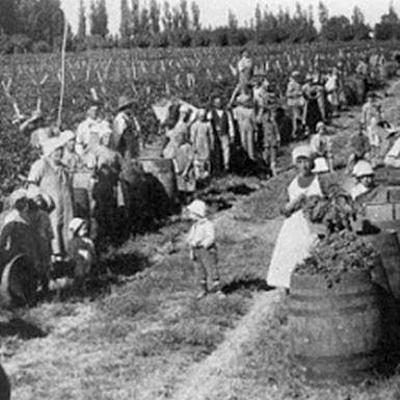 Timeline: Conformación Espacio Rural Provincia de Mendoza