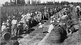 Timeline: Conformación Espacio Rural Provincia de Mendoza