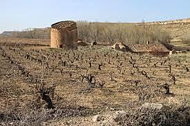 Enfermedad de viñedos en Europa