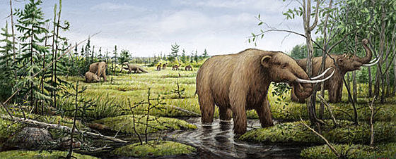 EL CLIMA Y LA VEGETACIÓN