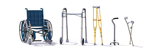 Cedar Rapids v. Garret F.