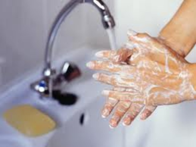 Do you wash your hands?
