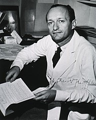 Después de Cristo (d.c.)