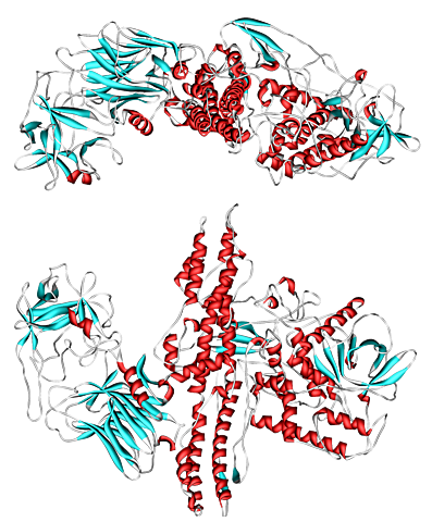 Selmi descubrió las ptomaínas