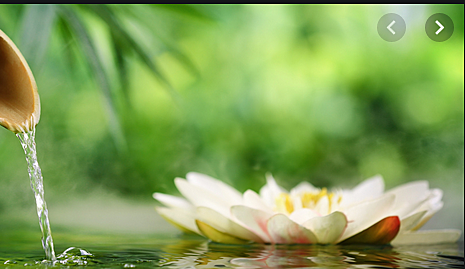 MEDICINA DE LA EDAD MEDIA