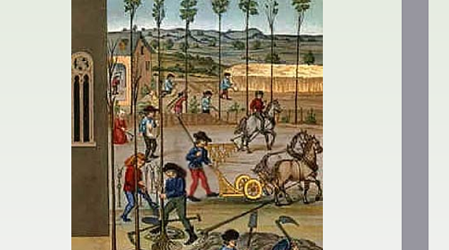 Feudalismo año 1000