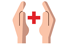 Resolución  N° 0425  de 2008, título IV, artículo  16