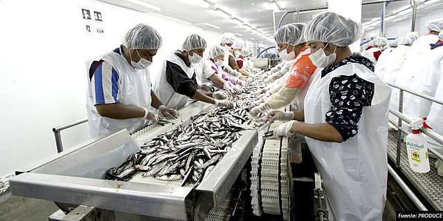 Se Instalan Nuevas Fábricas de Anchovetas