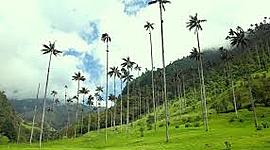 Timeline: CREACIÓN DEL DEPARTAMENTO DEL QUINDÍO