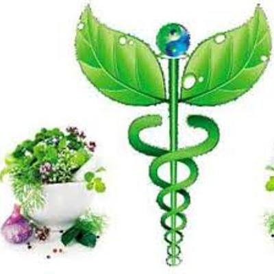 Timeline: diferenciar Medicinas Alternativas de Terapias Complementarias