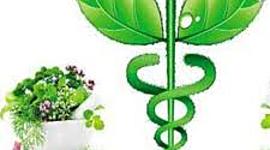 Timeline: diferenciar Medicinas Alternativas de Terapias Complementarias